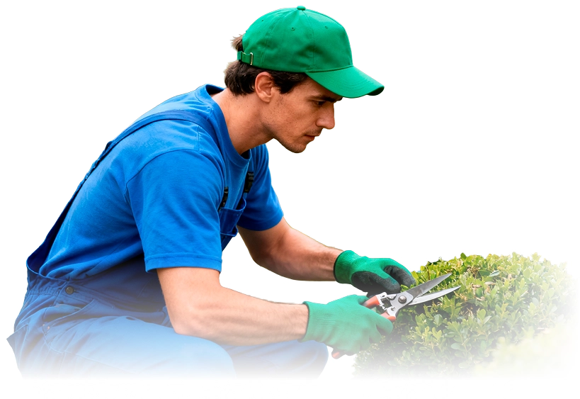 Manutenção de áreas verdes